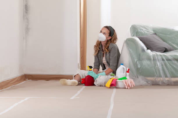 Reliable Mold Remediation contractor in Northport, NY by 24 Hour Mold Removal